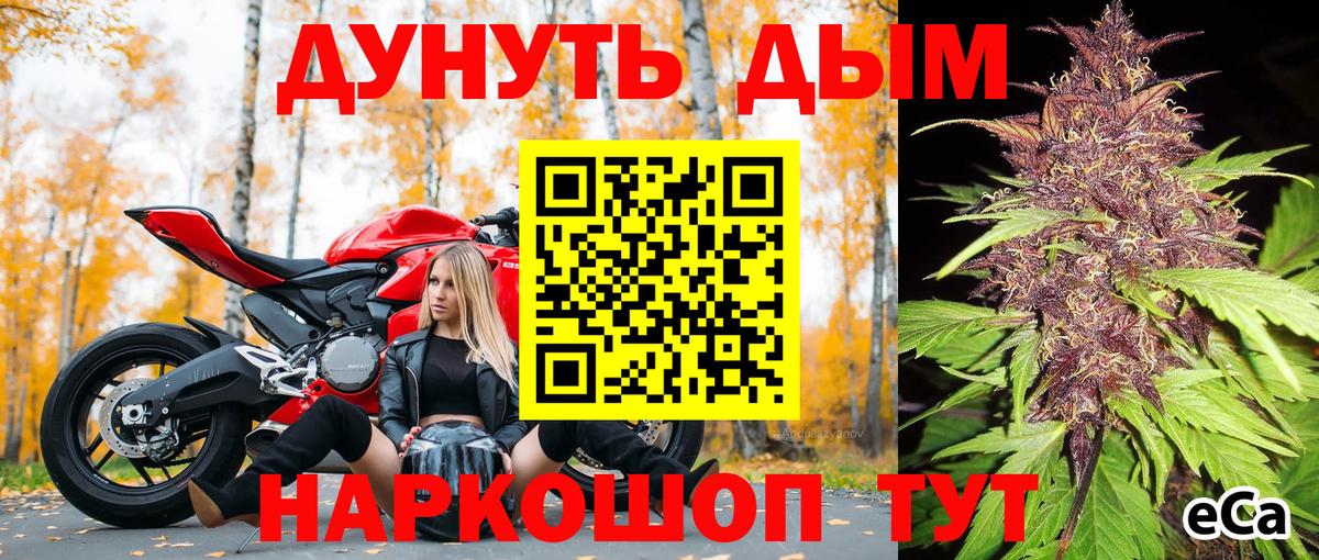 Шишки марихуана планчик  Канабис планчик  Муром  Шишки марихуана сатива  Вход с VPN  Шишки марихуана Amnesia 